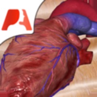  Pocket Heart Application Similaire