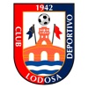 CD Lodosa