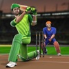 Play World Cricket League