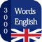 Icon 3000 Words English