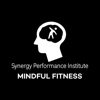 Synergy Performance Institute