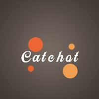 Catchot- Falling Circles Game