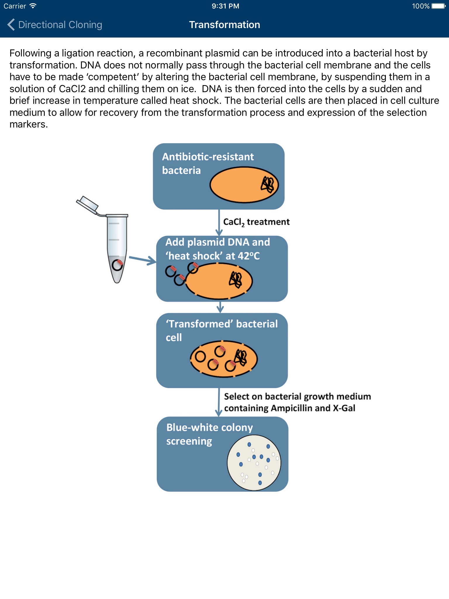 UofG Molecular Methods screenshot 3