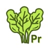 Spinach21 Pro