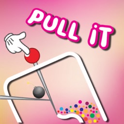 Pull It - Pull the Pin Puzzle