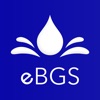 eBGS