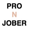 Pro N Jober - N잡 수입 관리
