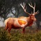 If you are an expert deer hunter, then this's a great shooting range game for you to practice