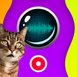 Cat Speaker