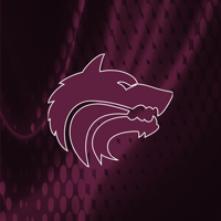 Lincoln Wolves