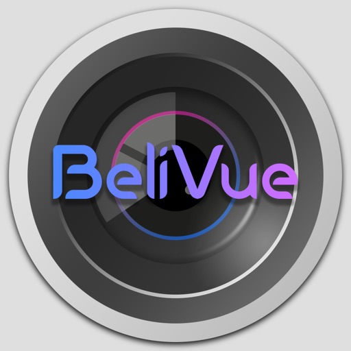 BeliVue Viewer