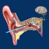 Ear Disorders: Outer Middle