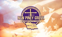 New Piney Grove Baptist Church