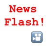 Icon NewsFlash! Photo/Video Filter