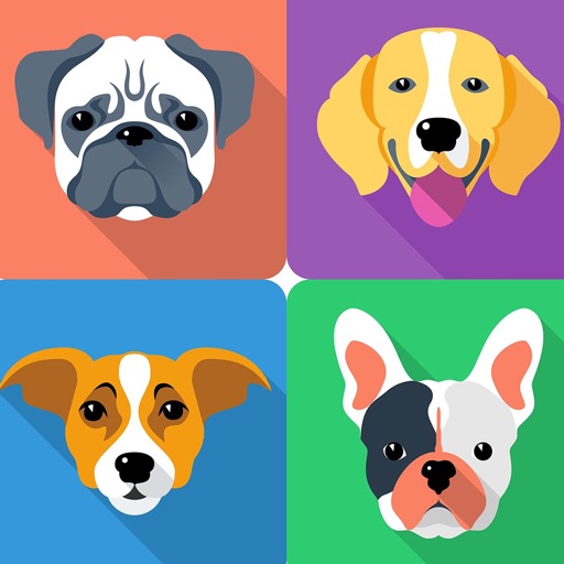 Dog Breeds Guide & Quiz