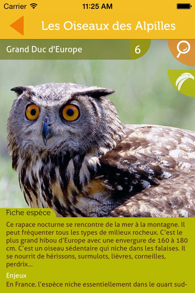 Les oiseaux des Alpilles screenshot 2