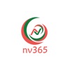 NV365