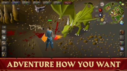 Old School RuneScape screenshot 2