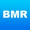 Icon BMR Calculator - Calories Calc