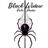 Black Widow Pole Studio
