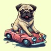 Funny Cartoon Pug