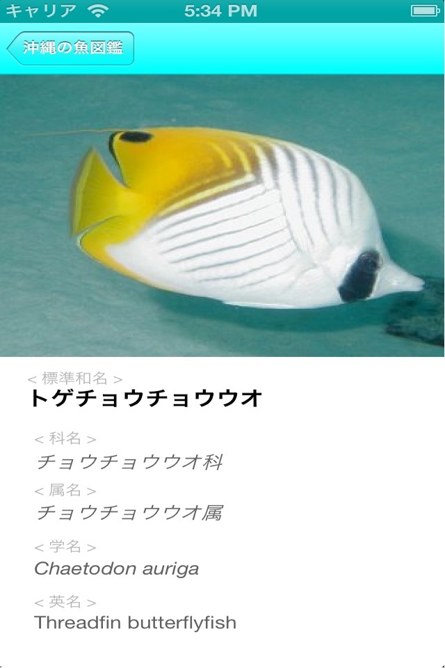 Fish Photo of OKINAWA screenshot 2