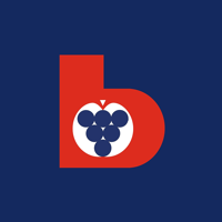 Beratungsring App neu