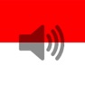 Get Indonesian Phrasebook (Travel) for iOS, iPhone, iPad Aso Report