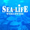 Sea Life weltweit