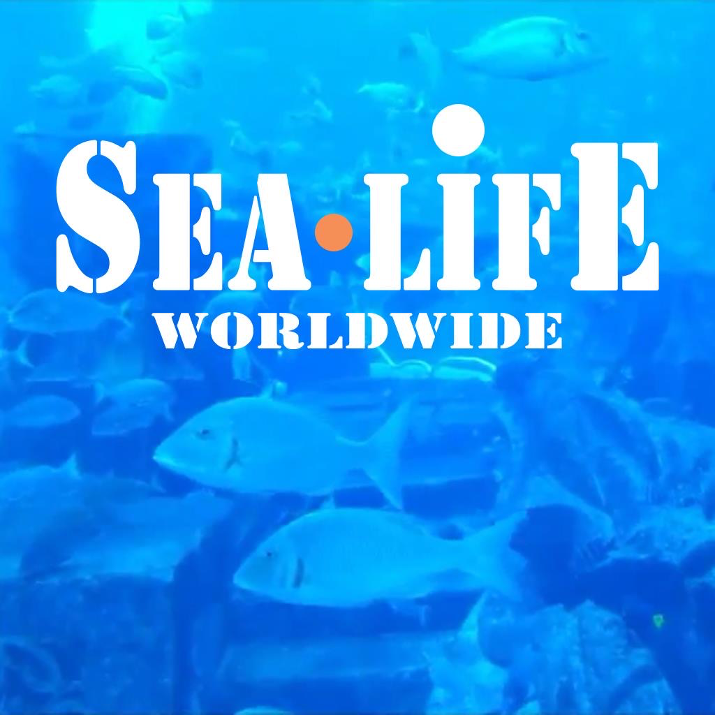 Get Sea Life worldwide for iOS, iPhone, iPad Aso Report