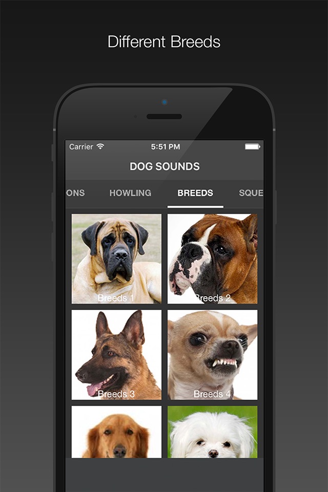 Dog Sounds - Collection screenshot 4