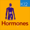 Hormones. - www.ajaxmediatech.com