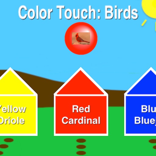 Color Touch: Birds