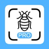 Insekten Scanner Pro