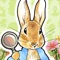 Search for hidden objects in the world of Peter Rabbit™