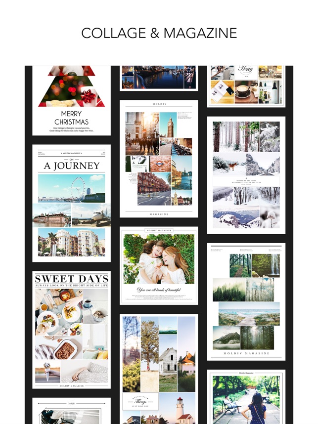 moldiv collage app