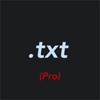Pro txt Editor - Julian Lau