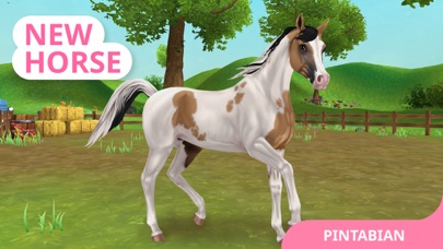 Star Stable: Horses screenshot 2