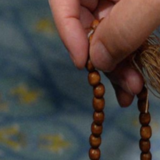 Tasbih تسبيح