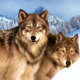 Wild Wolf Simulator Hunter 3D