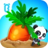 Baby Panda Fruit Farm