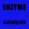 EnzymeQA