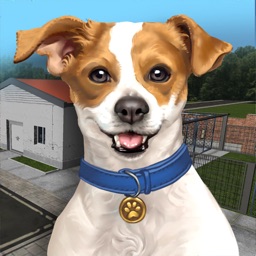 Animal Shelter Simulator アイコン