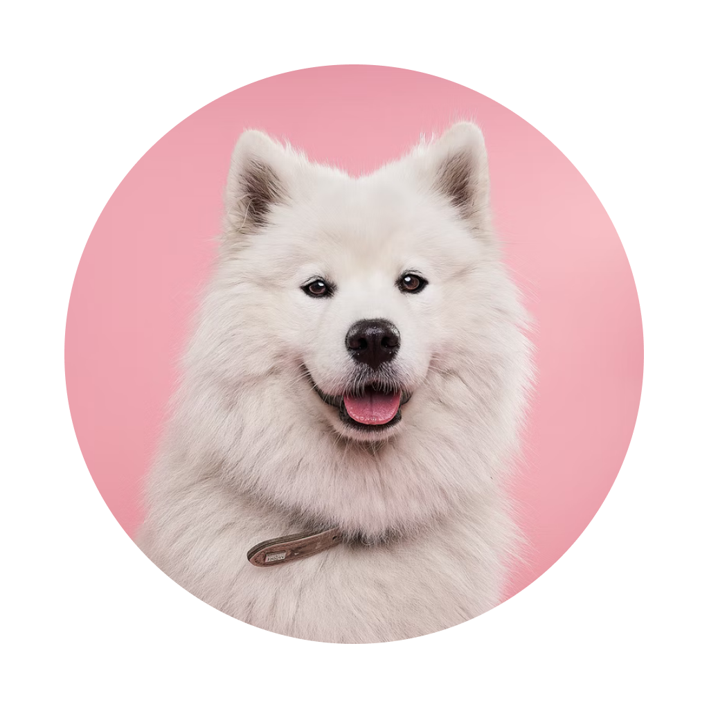 Get Circle Crop Photo for iOS, iPhone, iPad Aso Report