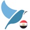 Icon Bluebird: Egyptian Arabic
