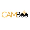 CamBee