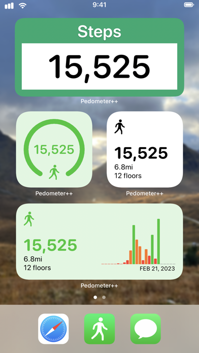 Pedometer++ screenshot 4