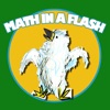 Math In A Flash