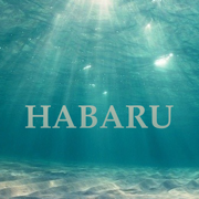 Habaru | Koveli