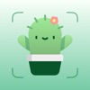 AI Plant Finder App: Plant ID